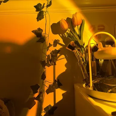 Profile image of 각별