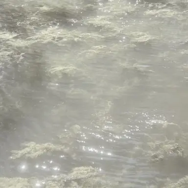 Profile image of 찬영