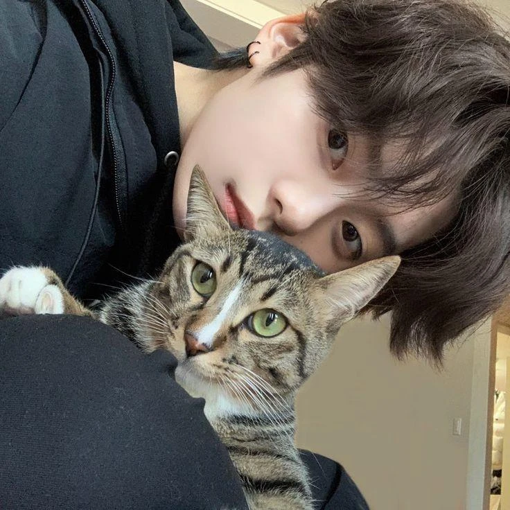 송준현