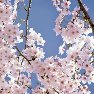 Profile image of 루카