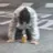한지윤