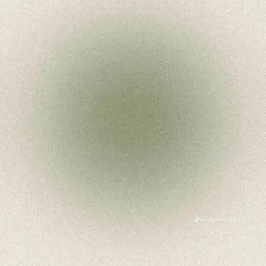 Profile image of 유기사