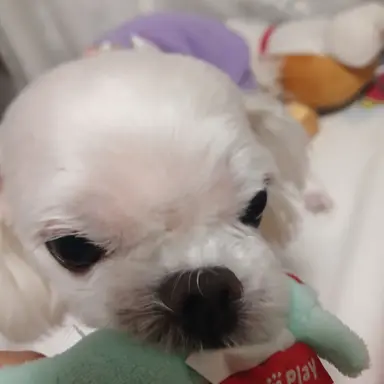 Profile image of 박가부