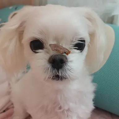 Profile image of 박 까불