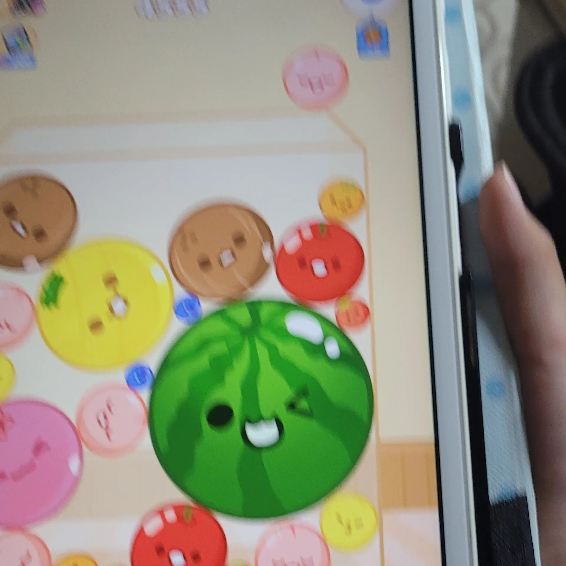 CurvedMamba7569의 뜰가족