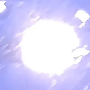 SaltyBed0291의 당신은 세븐틵의 호시입니다.