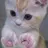 세즈