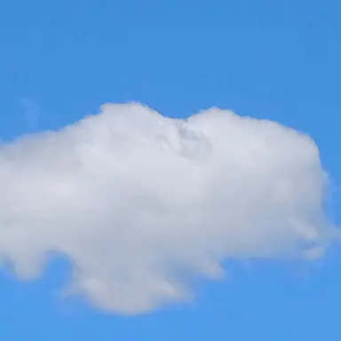 Profile image of 여우