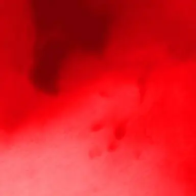 Profile image of 曽野舜太