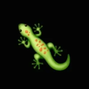 Profile image of 문서윤