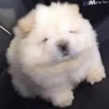 메소
