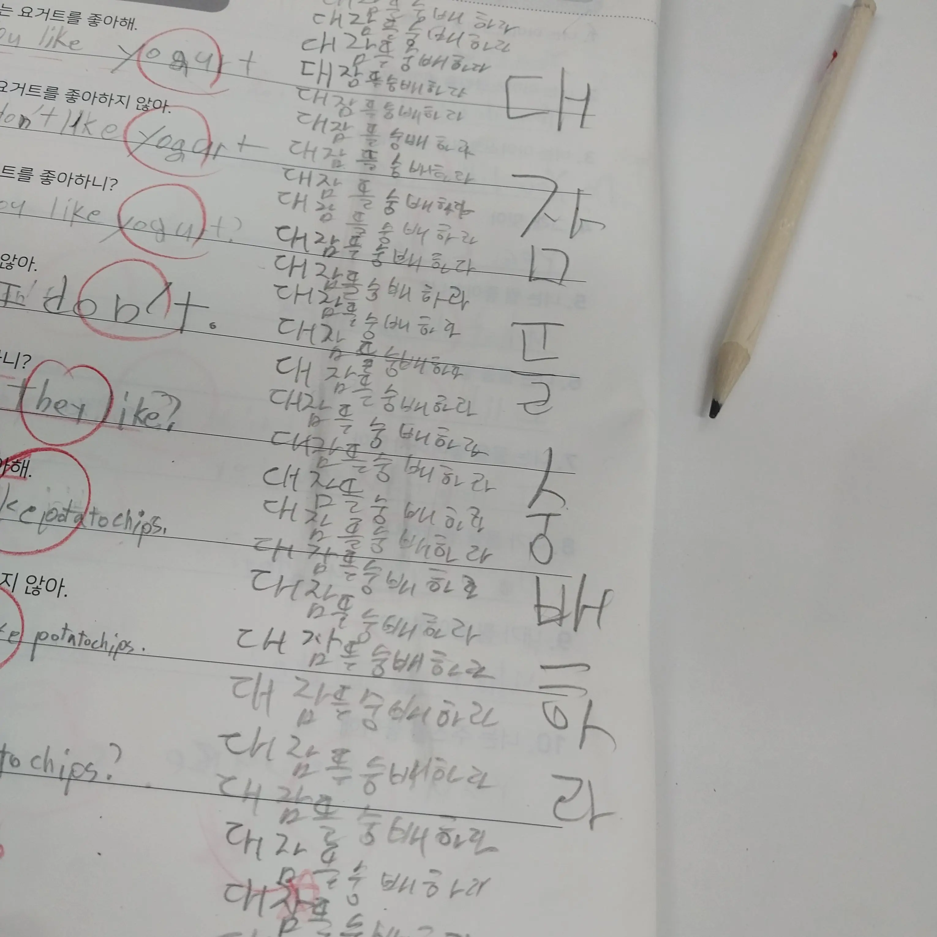 LazyJaw0291의 공지