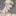아사히 켄조