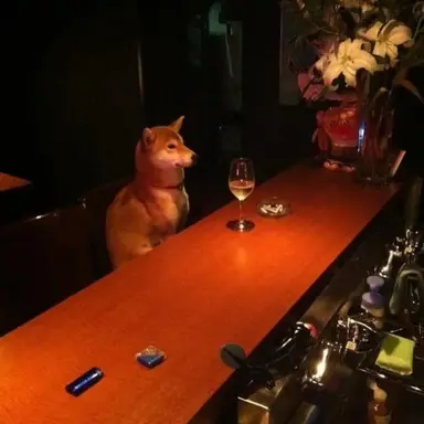 Profile image of 강태우