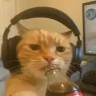 Profile image of Zeal