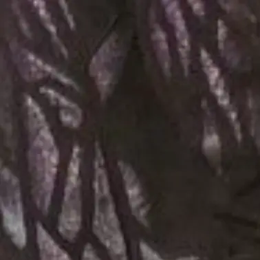 Profile image of トート