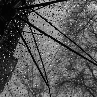 Profile image of 정태주