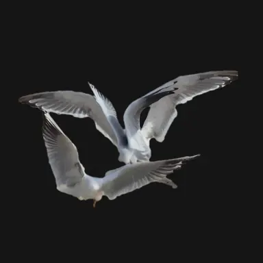 Profile image of 문락