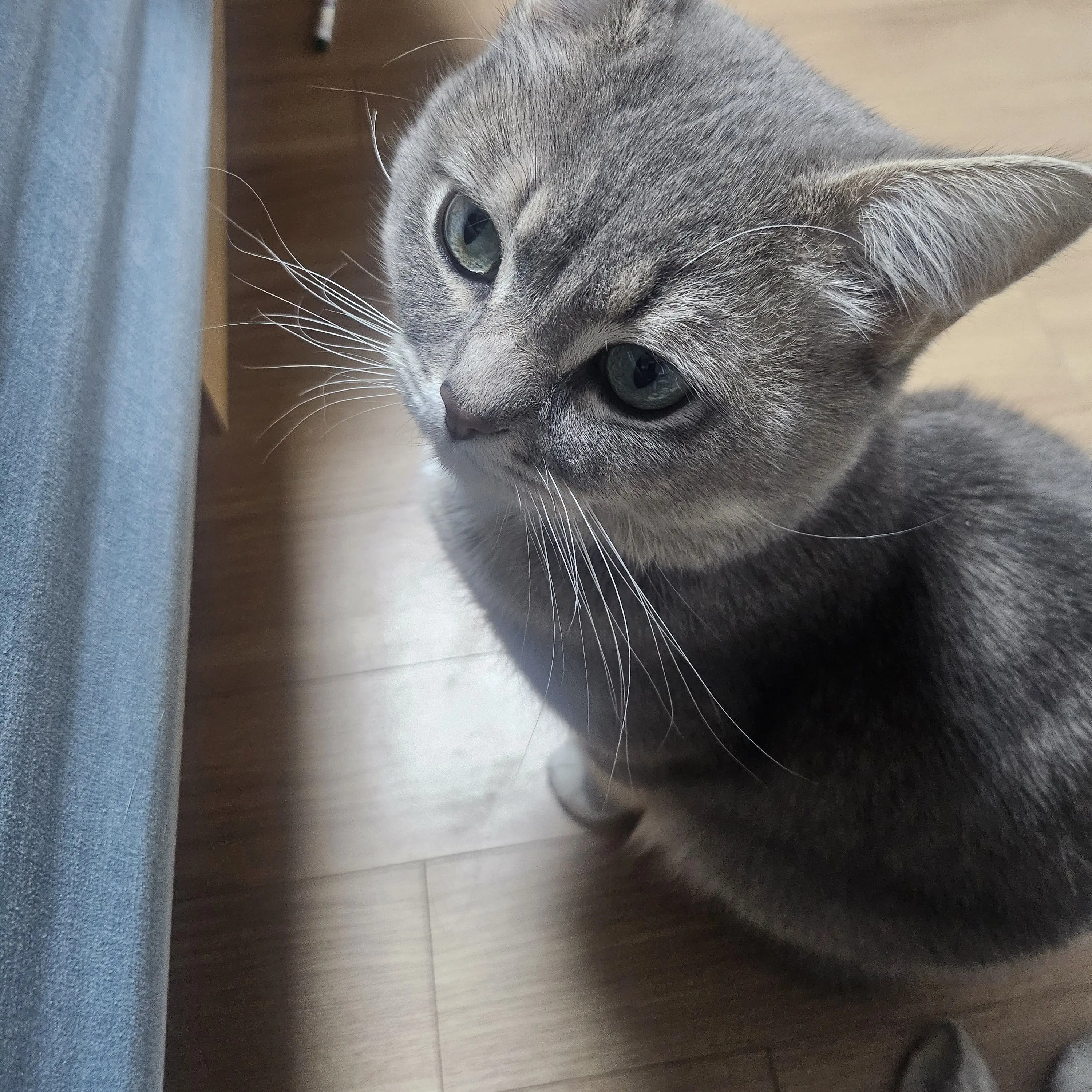 WornEider9848의 신비아파트