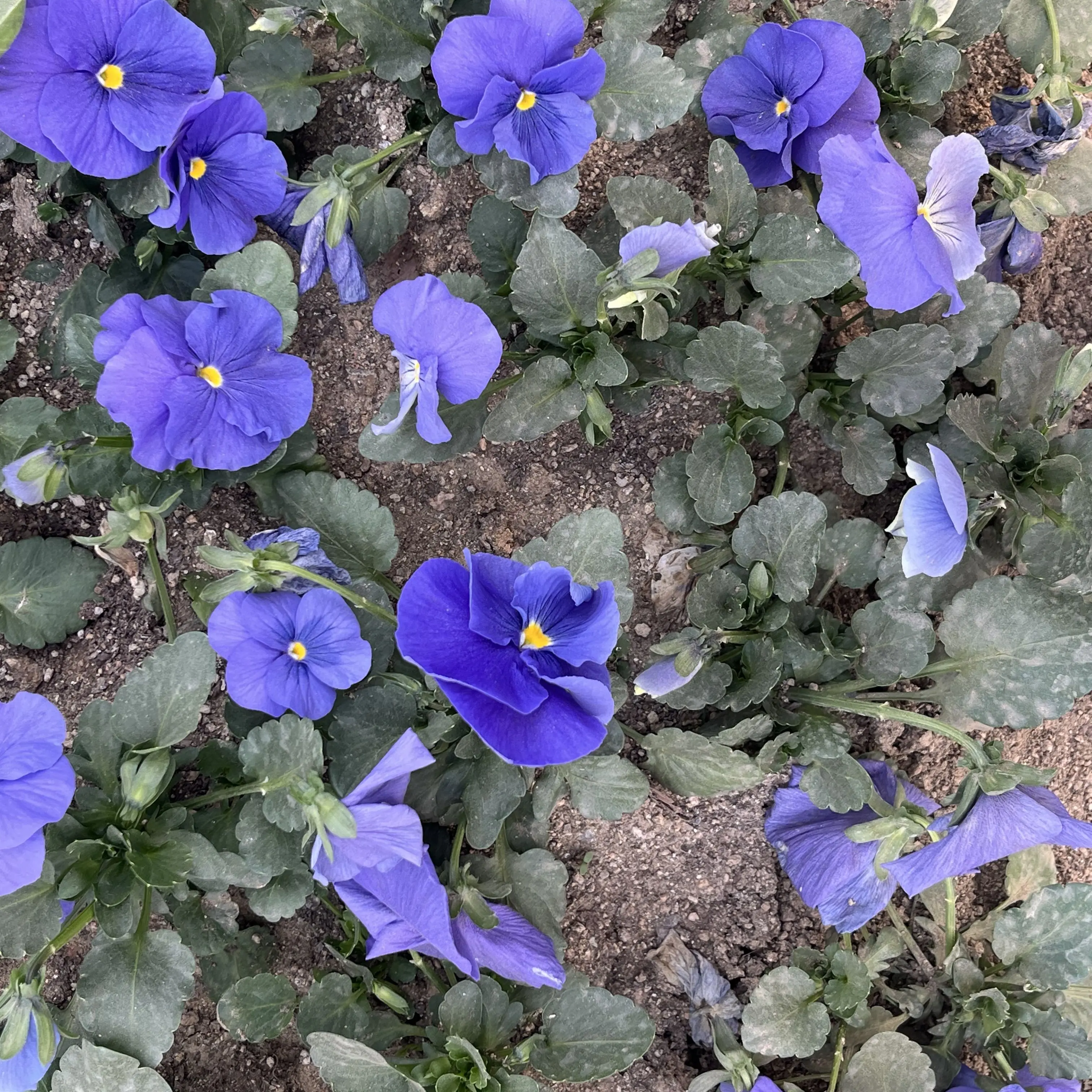 legkgkgkg의 미수반 짐찔방 사우나?!