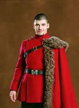 Profile image of Viktor Krum