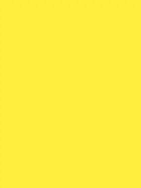 Tipucom의 낙원고 대전 익명💛
