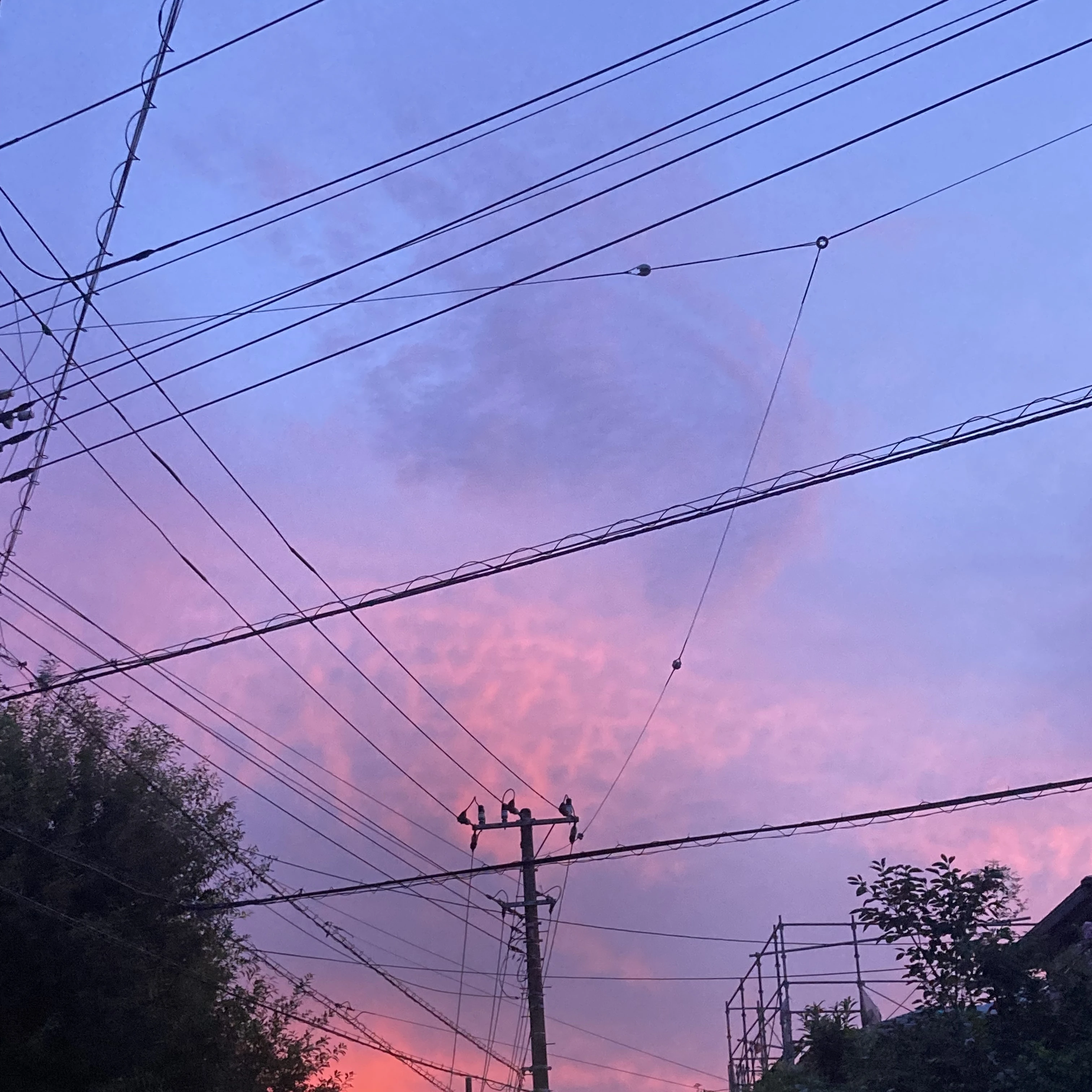 クプス
