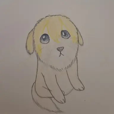 Profile image of 강아지 아르민