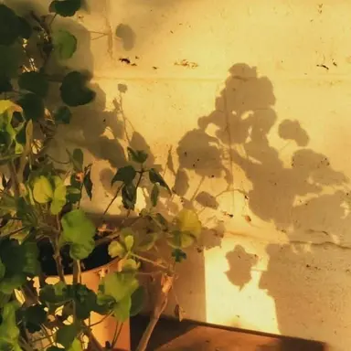 Profile image of 김각별