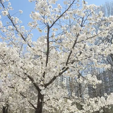 Profile image of 리레볼루션