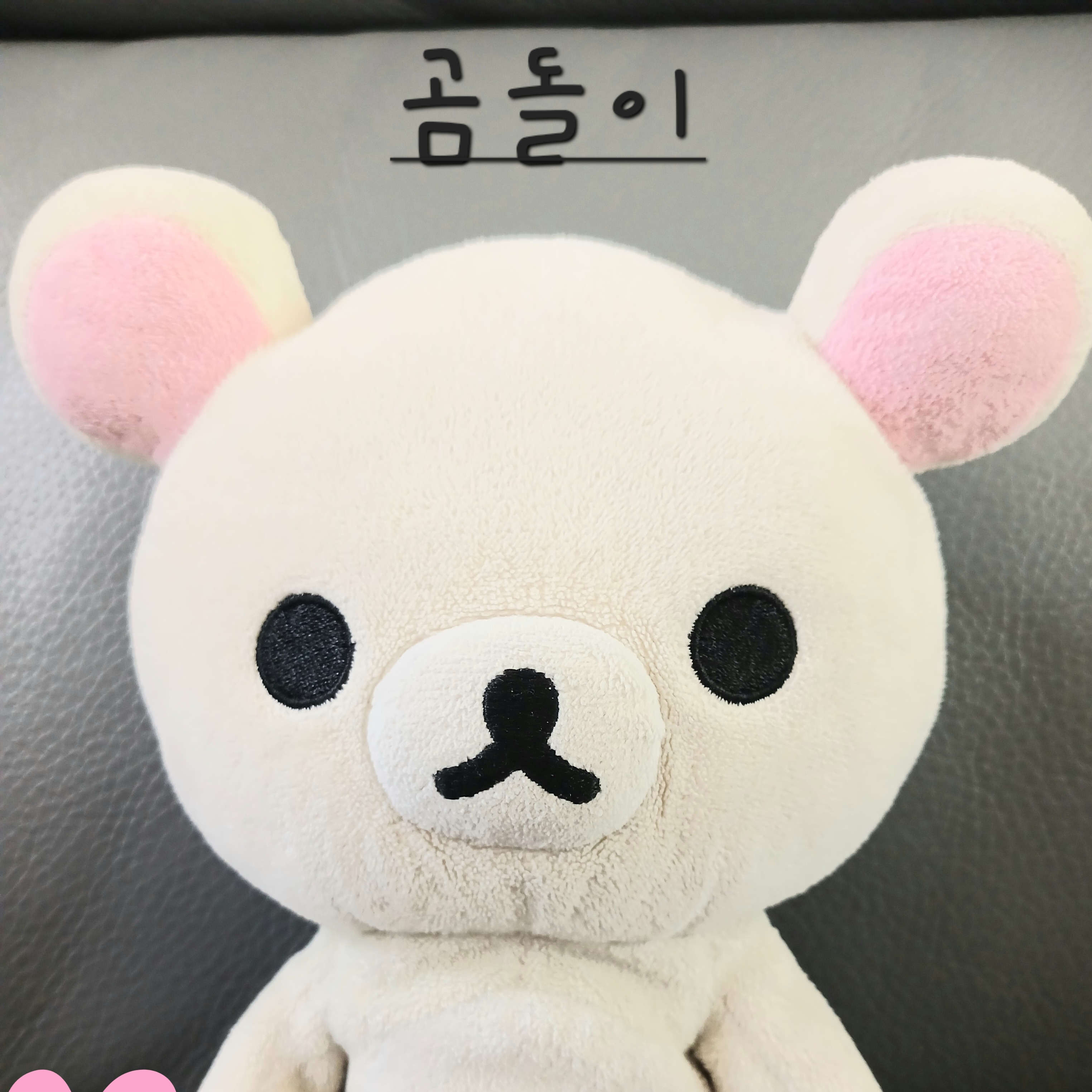 곰돌이 대표 이미지