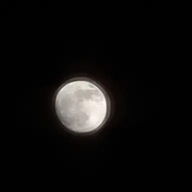 Profile image of 여우