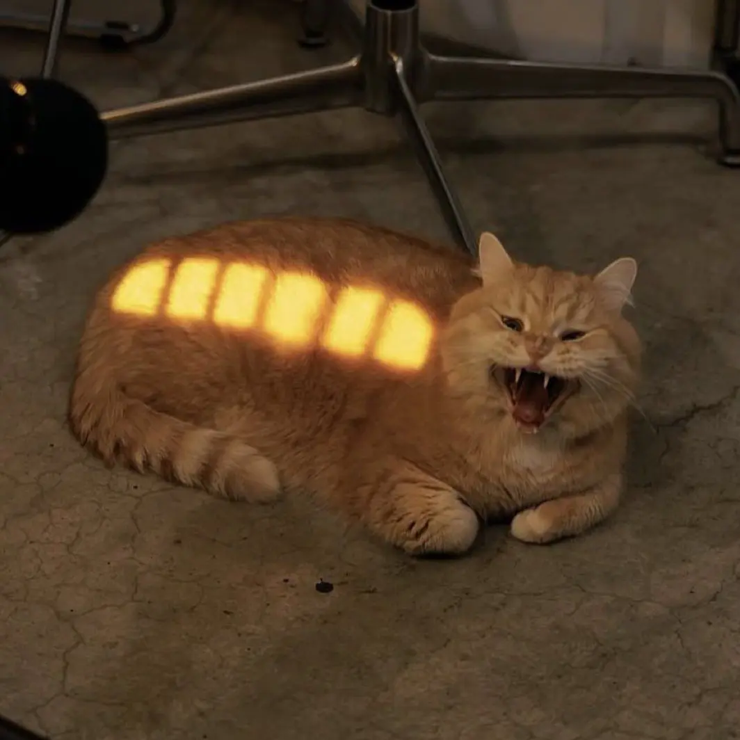 TriteSwipe9267의 俺の可愛いペット