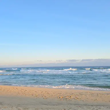 Profile image of 친구들