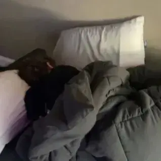 Profile image of Leo