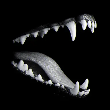 Profile image of 이멜