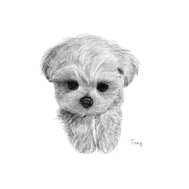 Profile image of 채스터