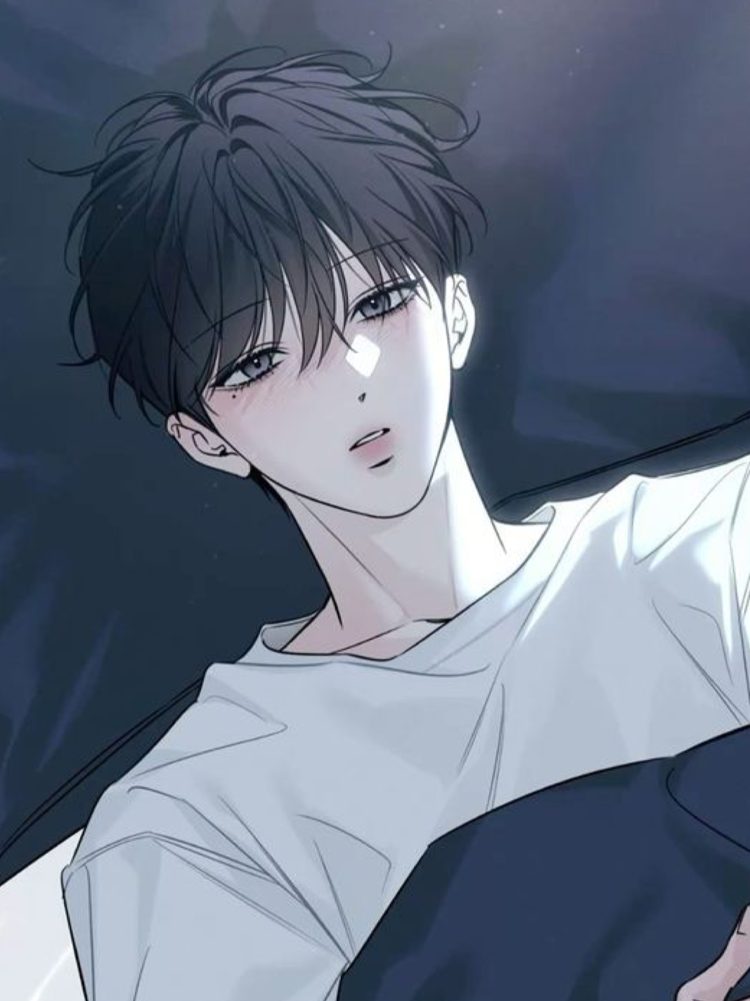 유서진 대표 이미지