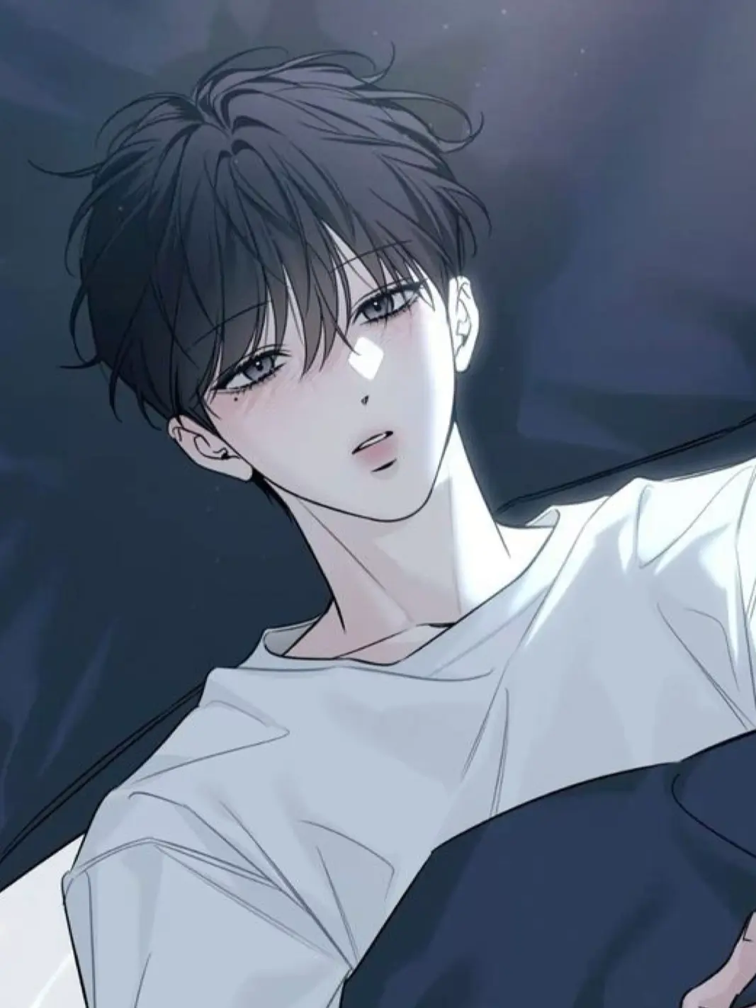 VividTang5017의 유서진
