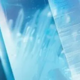 Profile image of 벨키