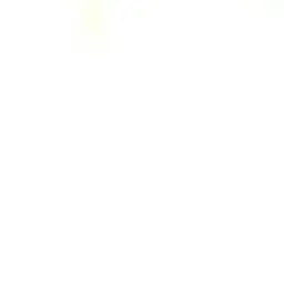 Profile image of 조우안신