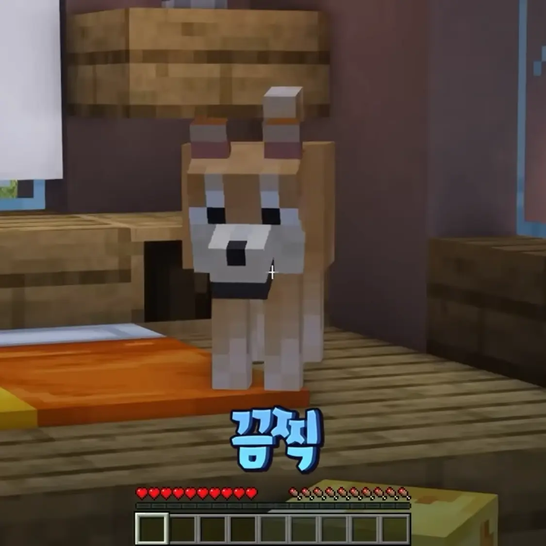 banananana_nana의 말 안 듣는 쫄보 강아지 키우기