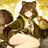 和音羽