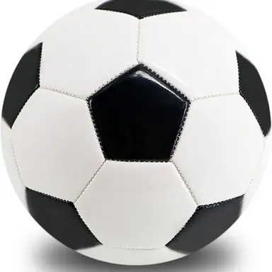 Profile image of 체육