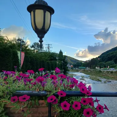 Profile image of 오토레이니