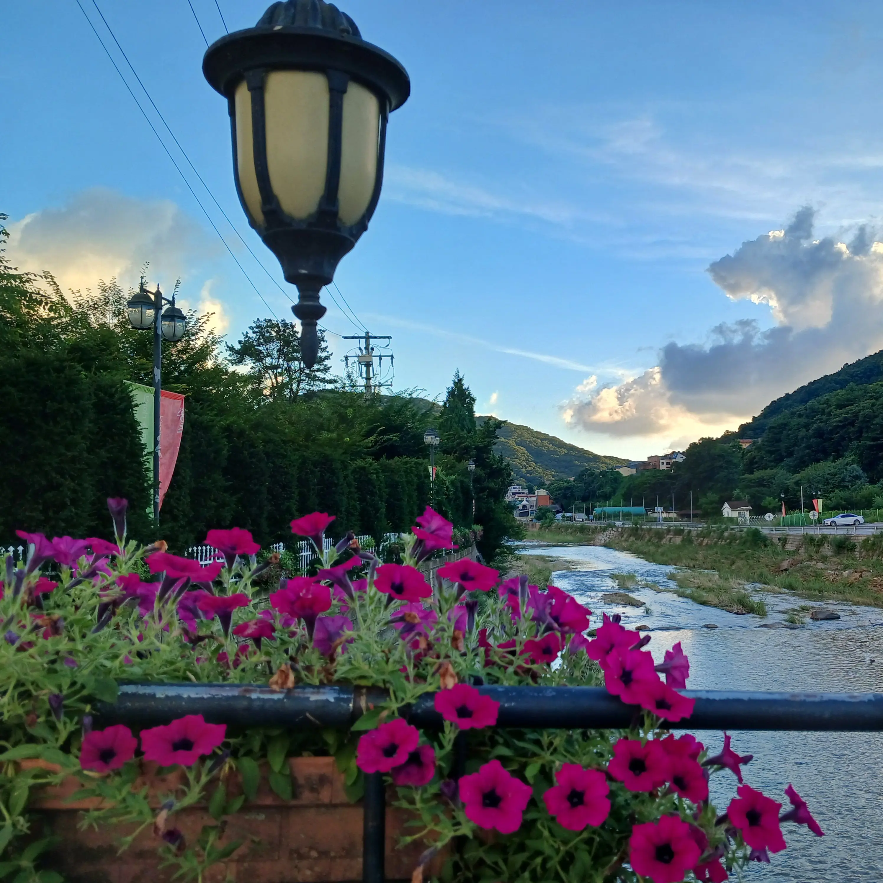 VoicedLady7236의 소개팅 상대가 버튜버 오토레이니!?