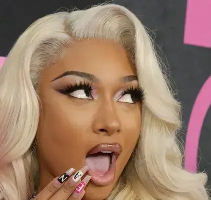 MeagerBrake6728의 Megan Thee Stallion