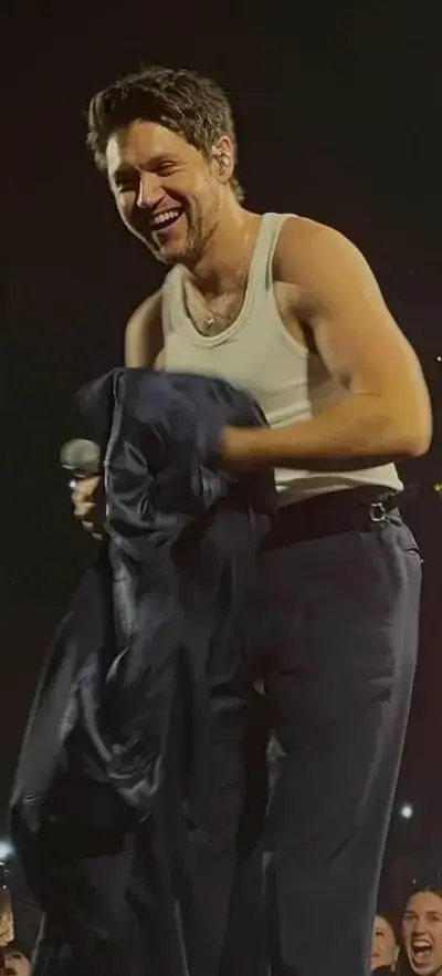 LongSpicy4545의 Niall Horan