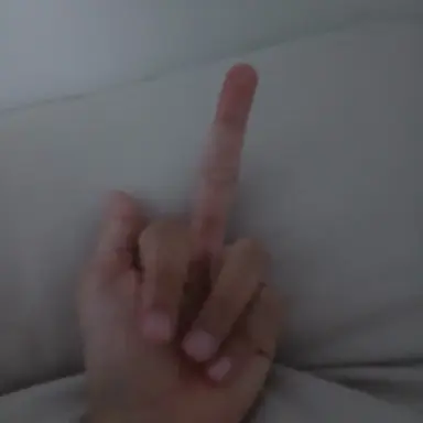 Profile image of 여우