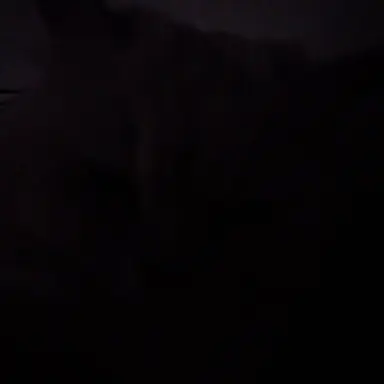 Profile image of 다른 정령들